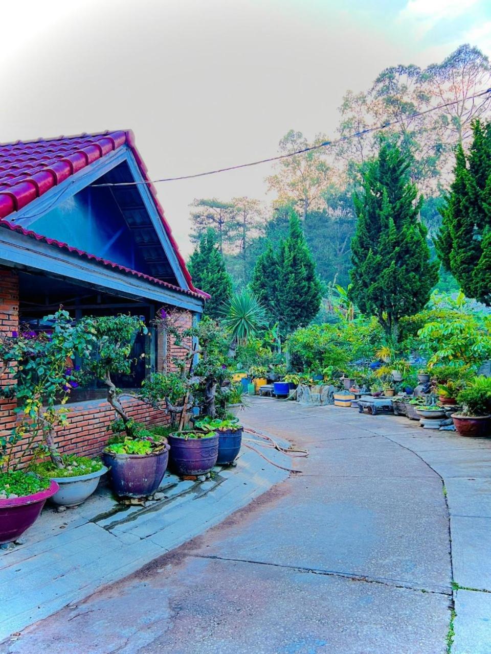 Hoa Chuong - Villa - Homestay 달랏 외부 사진
